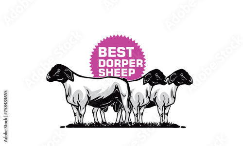 BEST DORPER SHEEPS LOGO, silhouette of great ram standing vector illustrations
