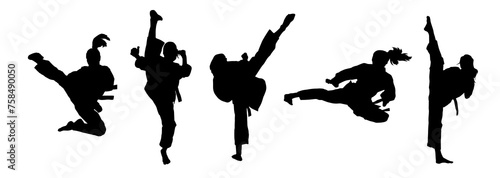 Collection silhouette of women doing a martial art kick. Silhouette group of sporty females doing kicking movement.