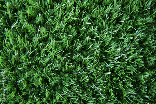 Artificial Turf 