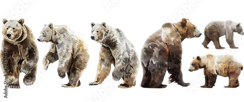 Set of watercolor bear illustration isolated on transparent background