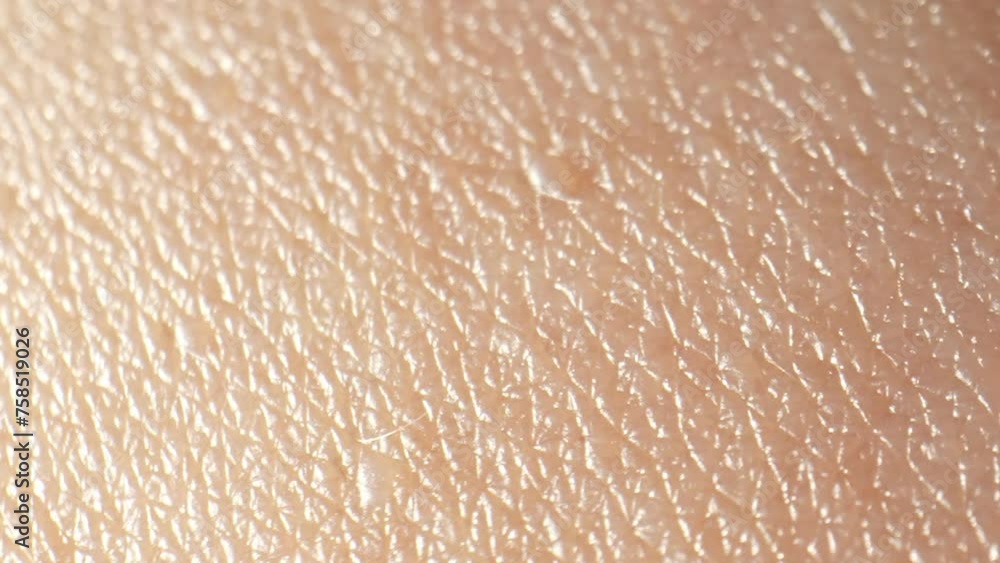Camera seamlessly glides, drawing viewers deeper into skin texture world. Each frame reveals enchanting wonders. Moisturization and Skin barrier concept. Skin background. 4K HDR. Camera seamlessly glides, drawing viewers deeper into skin texture world. Each frame reveals enchanting wonders. Moisturization and Skin barrier concept. Skin background. 4K HDR.