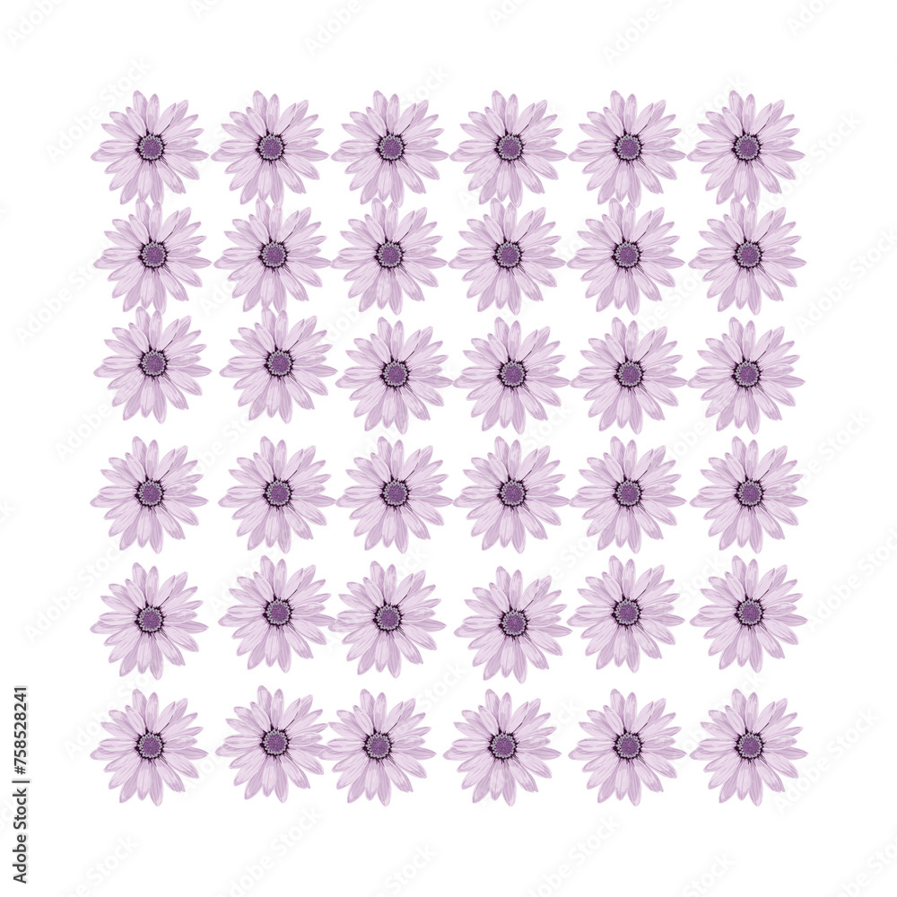 set of flowers set of flowers