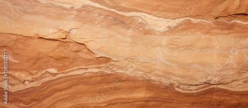 A closeup of a hardwood rectangle with a marble texture in shades of brown, amber, and beige. The wood stain creates a unique pattern on the flooring