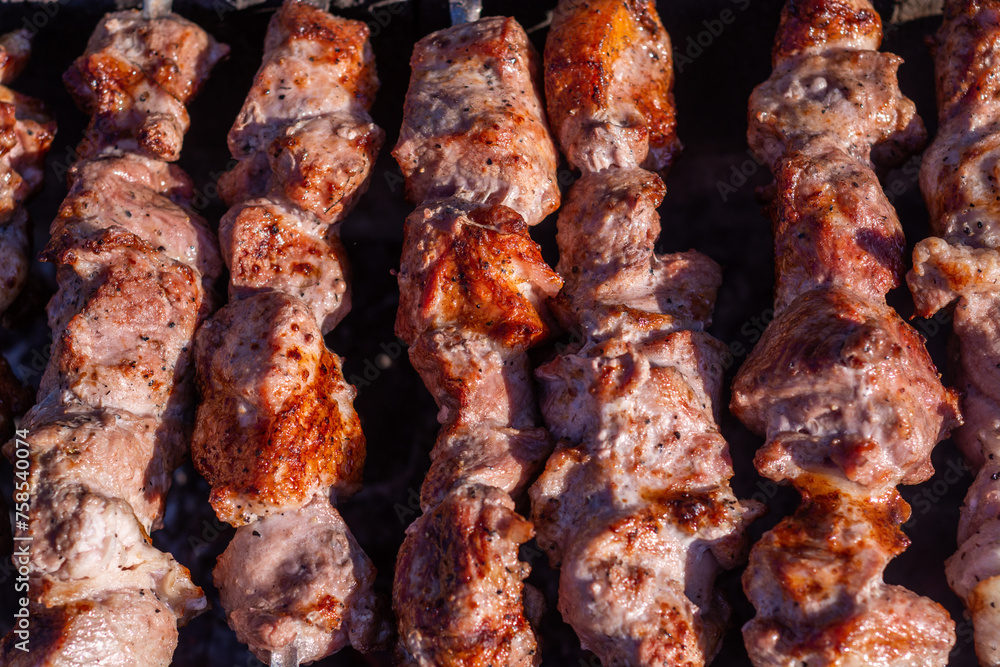 Delicious, mouth-watering barbecue on skewers. Food. Picnic. Pork kebab.