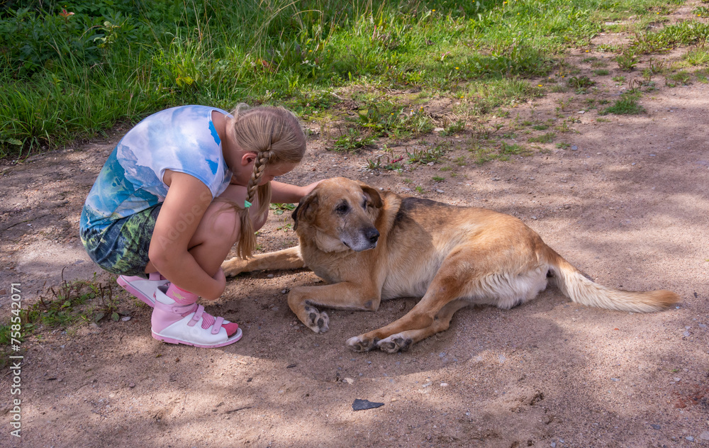 On a hot summer day, a beautiful girl is playing outside with a big dog. On a hot summer day, a beautiful girl is playing outside with a big dog.