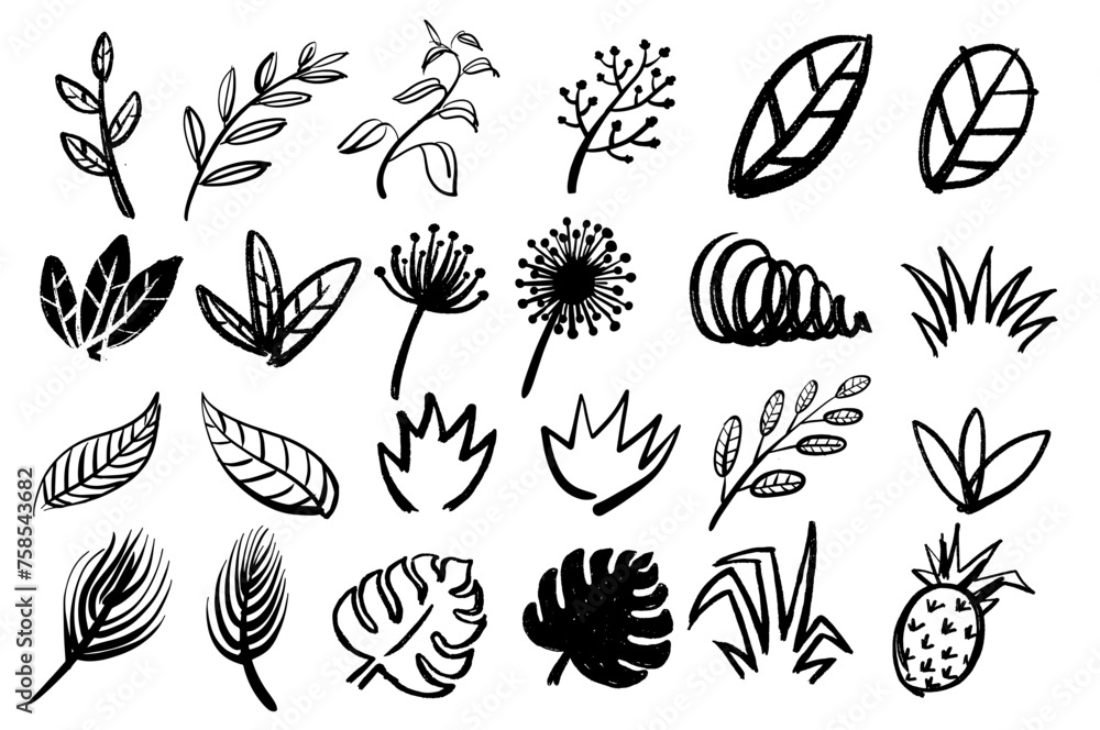 plant floral set vector illustration