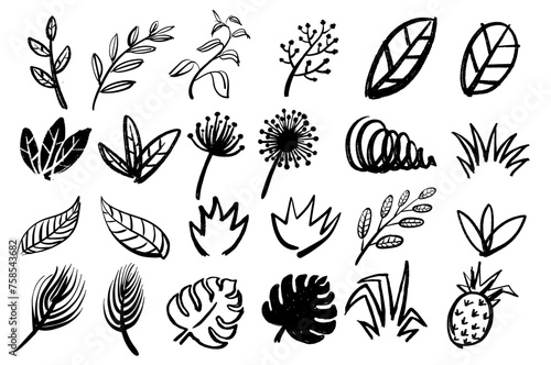 plant floral set vector illustration (ID: 758543682)