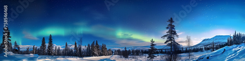 Winter scene with snow-covered trees under the vibrant display of an aurora borealis in the night sky. Banner, copy space.