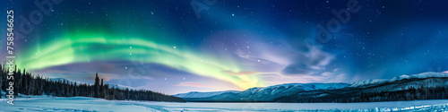 Vibrant colors of the Aurora Borealis dancing over a snowy landscape. Banner  copy space.