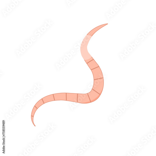 Roundworm Vector Illustration 