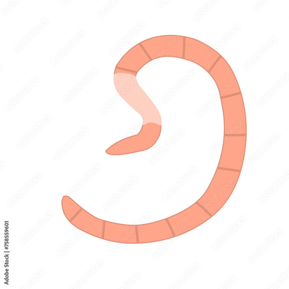 Roundworm Vector Illustration Roundworm Vector Illustration