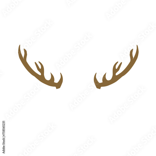 Deer Antlers 