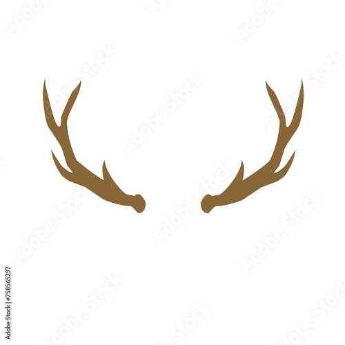 Deer Antlers 