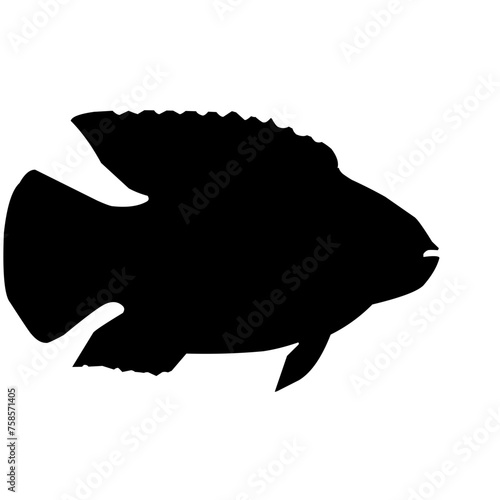 Tilapia Fish Silhouette 