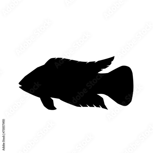Tilapia Fish Silhouette 