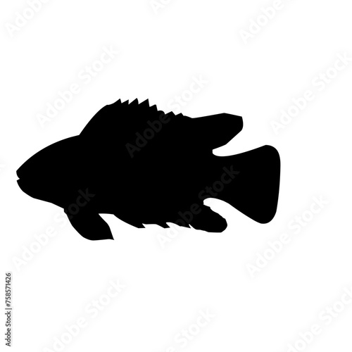 Tilapia Fish Silhouette 