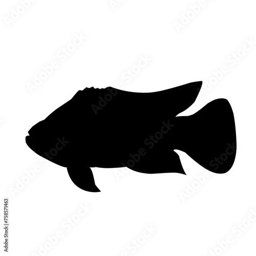 Tilapia Fish Silhouette 