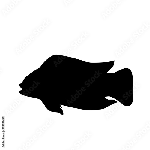 Tilapia Fish Silhouette 