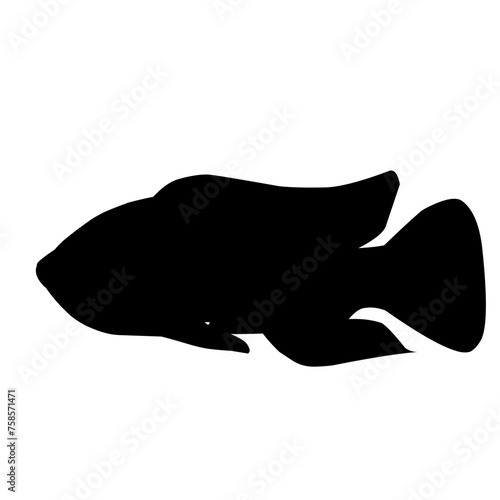 Tilapia Fish Silhouette 