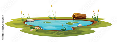 Natural pond vector cartoon isolated illustration