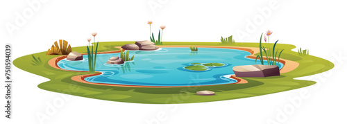 Natural pond cartoon vector illustration