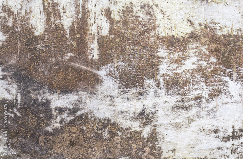 Grunge concrete or cement wall background © nilawan
