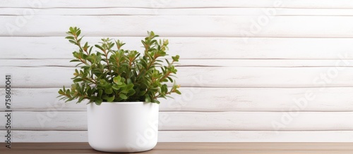 Front view of plant and flower mock-up in white flowerpot on wooden desk in front of white brick wall texture background