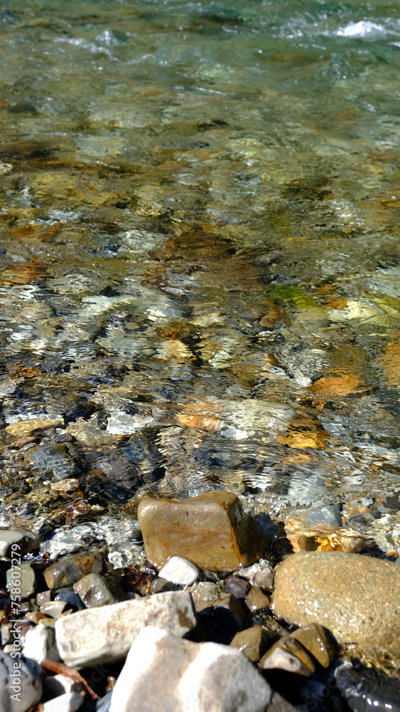 Fototapeta premium 田舎を流れる清流