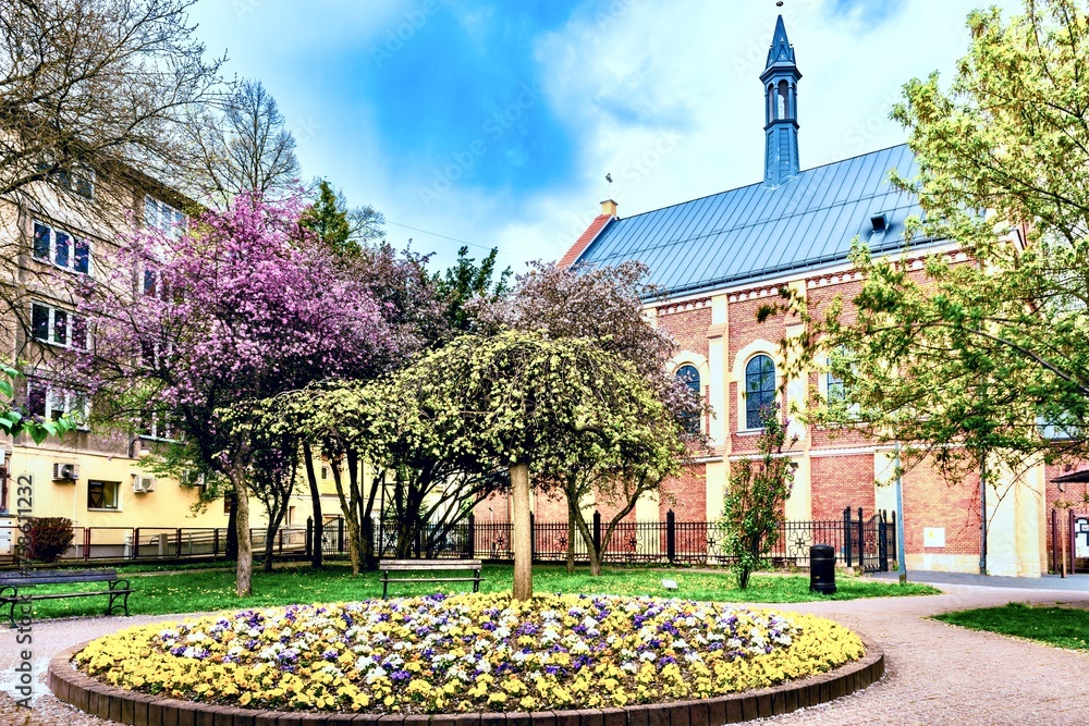 Fragment of the spring blooming city of Jaslo, Poland.