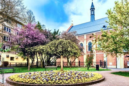 Obraz na płótnie Fragment of the spring blooming city of Jaslo, Poland. w salonie