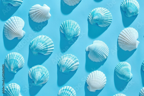 Beautiful Seashells Arranged on Blue Background with Shadows and Reflections, Serene Coastal Composition against Light Surface