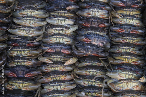 crabs at the market