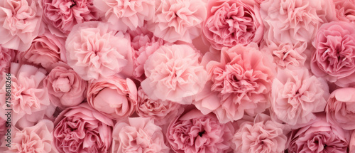 Top view background of bunch of blooming pink Carnations flowers floral petals plant created with Generative AI Technology