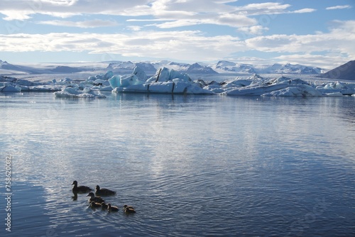 Ducks on Lake with Iceberg