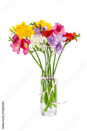 Blooming Freesia. Isolated on white background.