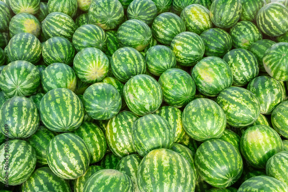 Heap of watermelons. Can be used as background