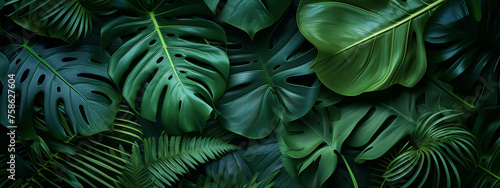 Wallpaper Mural Tropical leaves background. Green leaf banner and floral jungle pattern concept. abstract green leaf texture. Torontodigital.ca