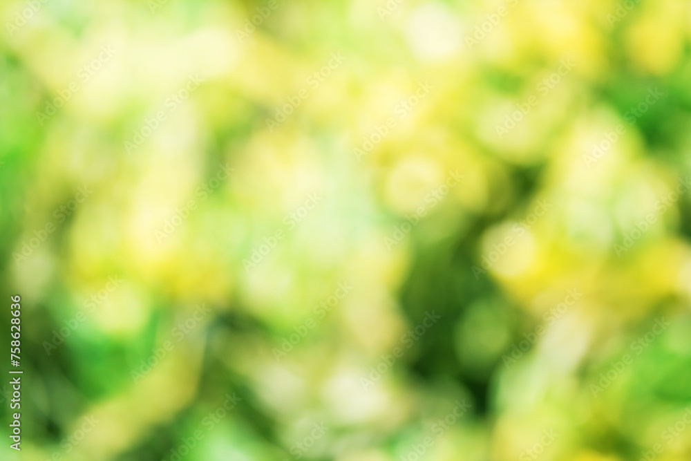 Beauty Nature Bokeh abstract background