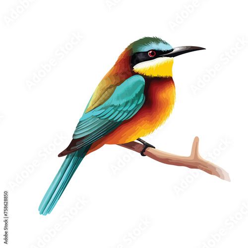 Bee-eater Clipart Clipart isolated on white background