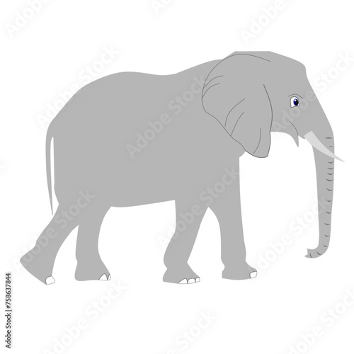 Vector illustration of elephant on white background