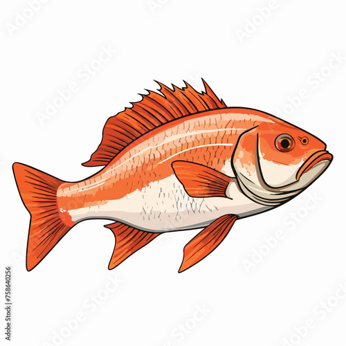 Fresh Fish Clipart Clipart isolated on white background
