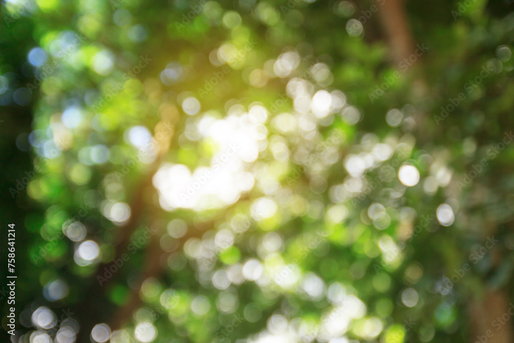 Green bokeh abstract background and texture Green bokeh abstract background and texture