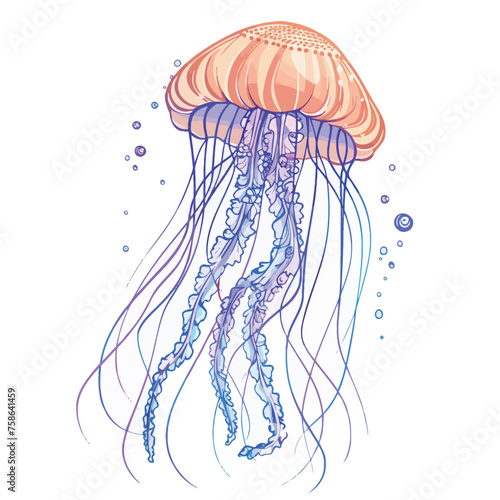 Jellyfish. Vector illustration. Isolated on white background.