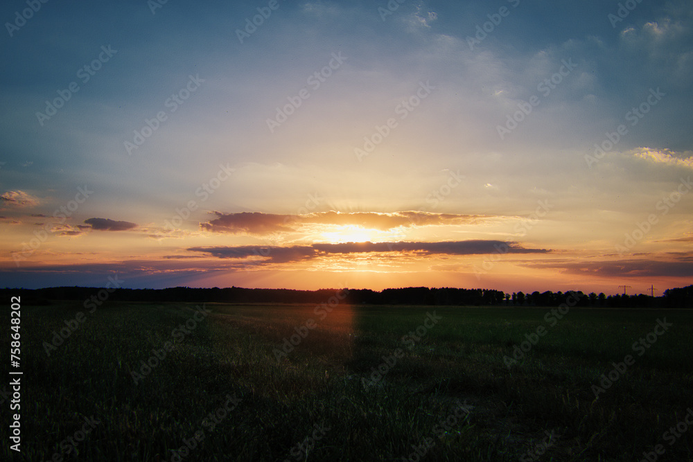 Feld - Wolken - Landschaft - Ecology - Field - Nature - Concept - Environment - Golden - Sunset - Clouds - Beautiful - Summer - Landscape - Background - Harvest - Green - Bio Feld - Wolken - Landschaft - Ecology - Field - Nature - Concept - Environment - Golden - Sunset - Clouds - Beautiful - Summer - Landscape - Background - Harvest - Green - Bio