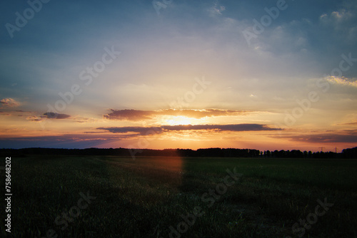 Fototapeta Naklejka Na Ścianę i Meble -  Feld - Wolken - Landschaft - Ecology - Field - Nature - Concept - Environment - Golden - Sunset - Clouds - Beautiful - Summer - Landscape - Background - Harvest - Green - Bio