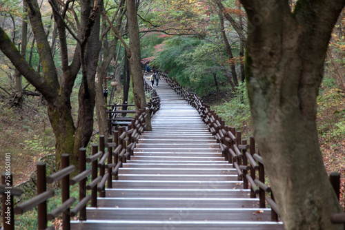 View of the wooden stairway in the autumn mountain