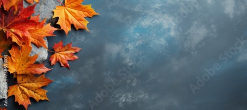 beautiful autumn leaves, copy space for text