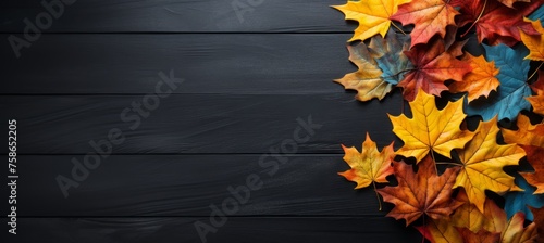 beautiful autumn leaves   copy space for text