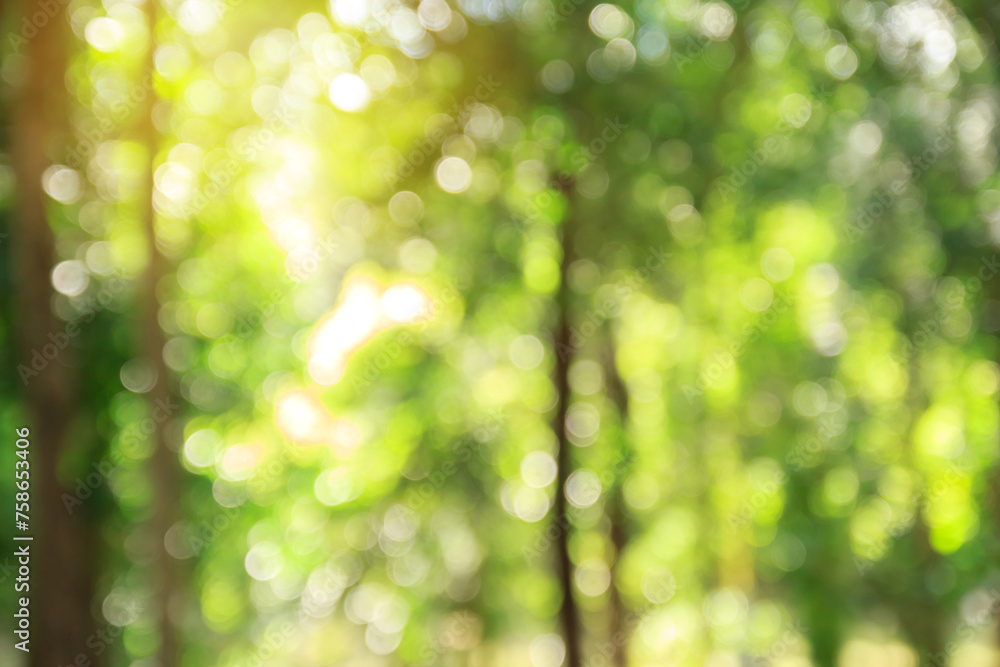 Green bokeh abstract background and texture Green bokeh abstract background and texture