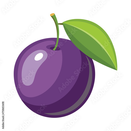  Java plum fruit isolated flat vector illustration